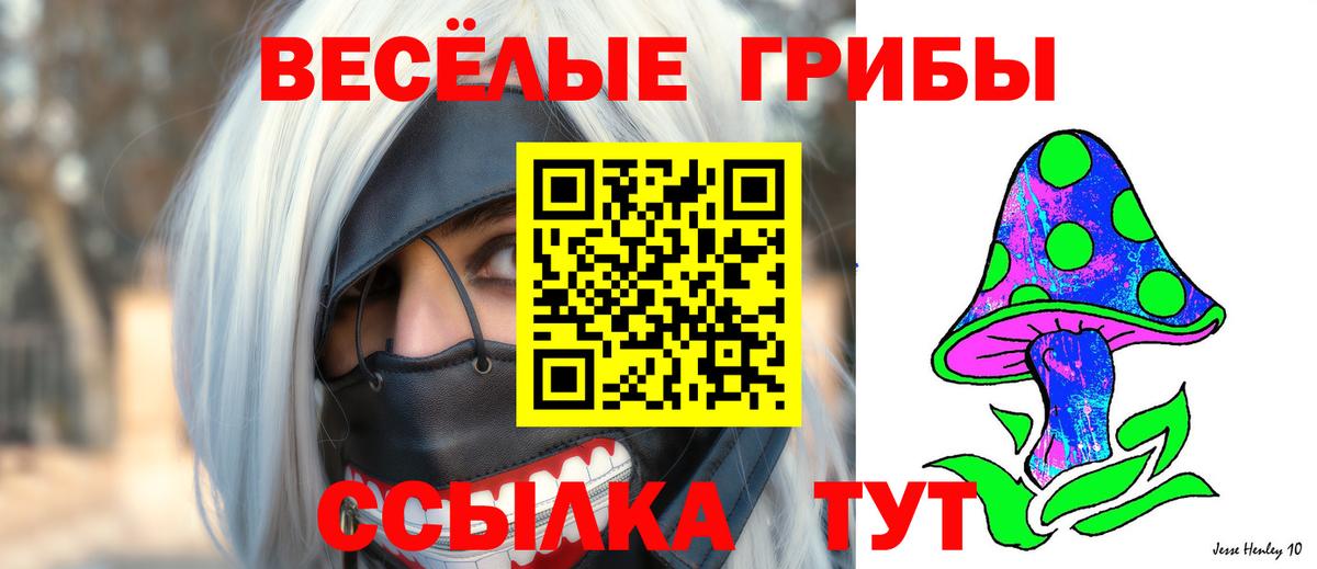 Псилоцибиновые грибы Psilocybine cubensis  как найти закладки  Светлоград  Вход с VPN 